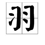 羽字是什么部首是什么