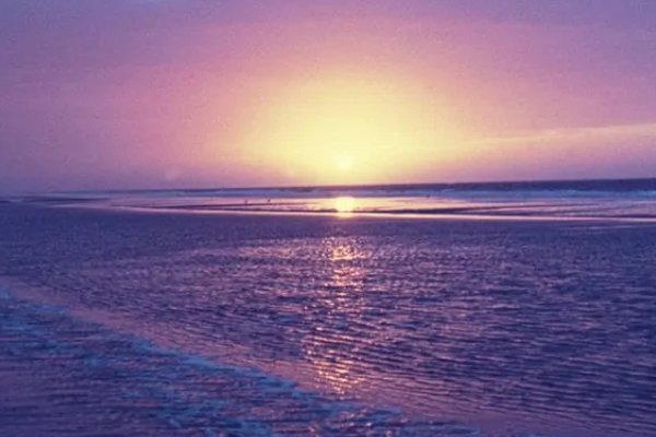 名家名篇经典美文有哪些？