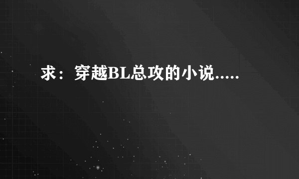求：穿越BL总攻的小说.....