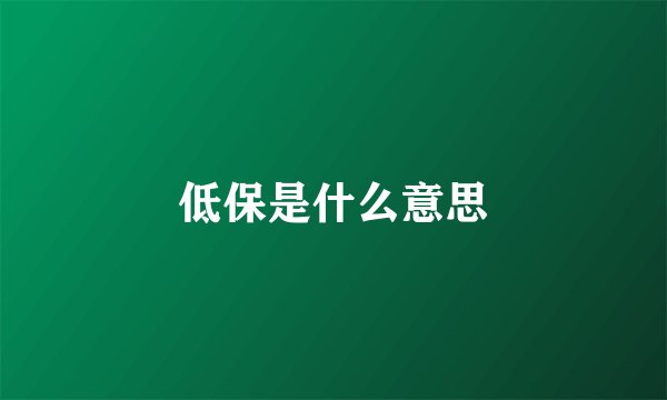 低保是什么意思