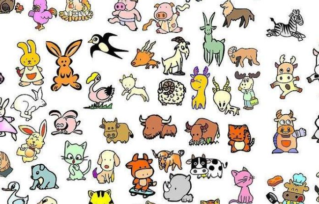 英语中animal怎么读