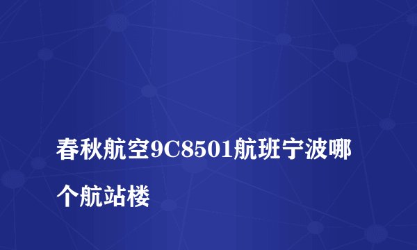 
春秋航空9C8501航班宁波哪个航站楼

