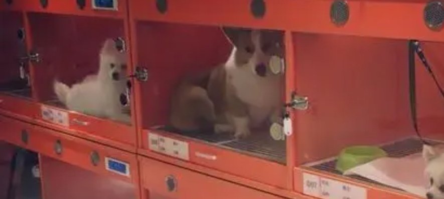 女生什么工作最赚钱？