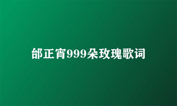 邰正宵999朵玫瑰歌词