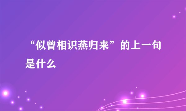 “似曾相识燕归来”的上一句是什么
