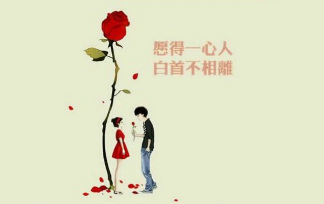 只愿得一人心 白首不分离 是什么意思？