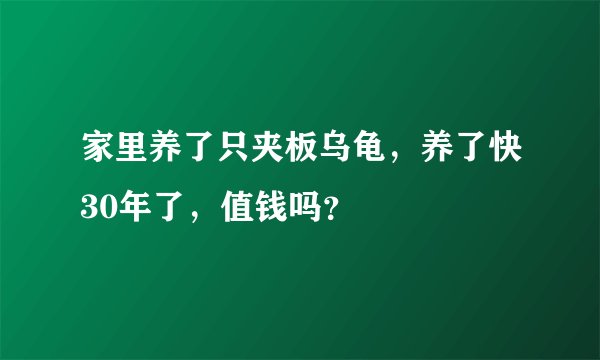 家里养了只夹板乌龟，养了快30年了，值钱吗？