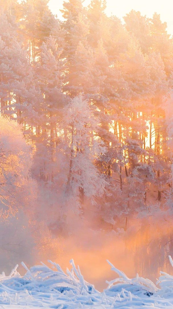 ab ac词语式词语