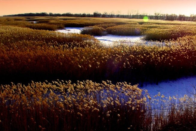 流沙和沼泽都是可以吞人，吞进去的人又去了哪里呢？