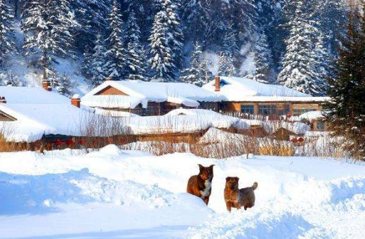 我爱你塞北的雪 歌词