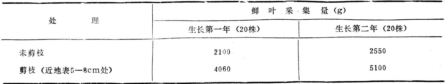 一叶萩有哪些特征？