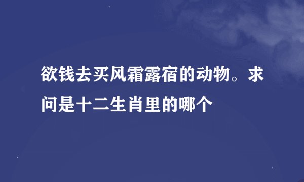 欲钱去买风霜露宿的动物。求问是十二生肖里的哪个