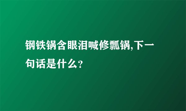钢铁锅含眼泪喊修瓢锅,下一句话是什么？