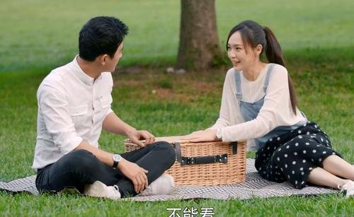 归去来电视剧剧情介绍