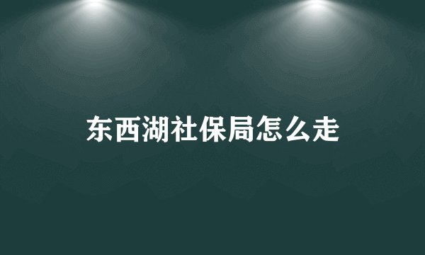 东西湖社保局怎么走