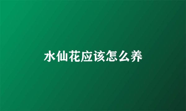 水仙花应该怎么养