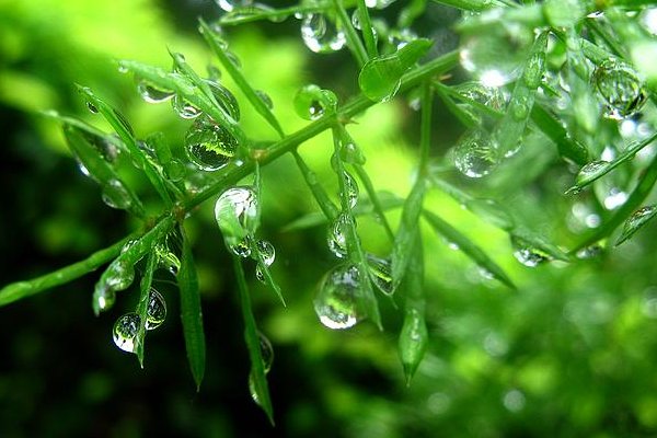 名家名篇经典美文有哪些？