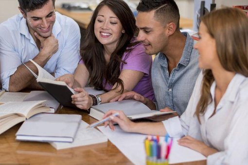 money honey funny family什么意思？