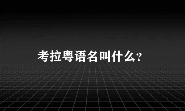 考拉粤语名叫什么？