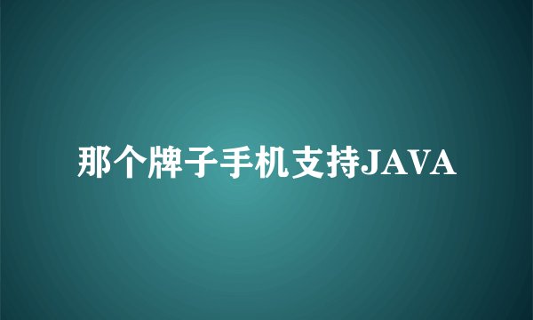 那个牌子手机支持JAVA
