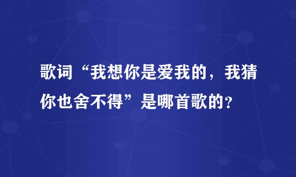 歌词“我想你是爱我的，我猜你也舍不得”是哪首歌的？
