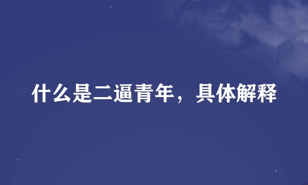 什么是二逼青年，具体解释