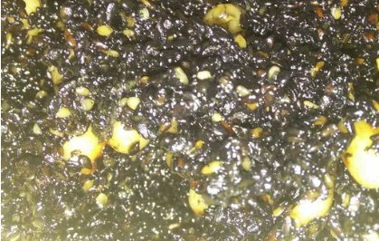 包汤圆的步骤是什么?