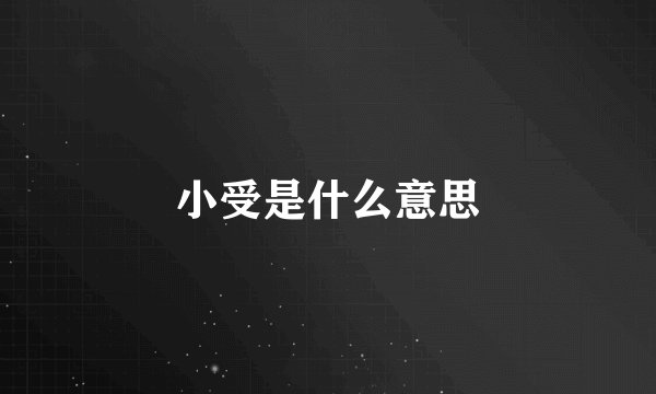 小受是什么意思