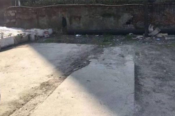 杭州市江干区蓝天城市花园,为何会被小区业主点赞?