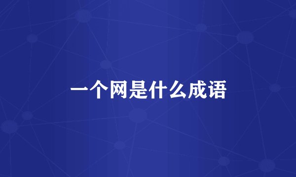 一个网是什么成语