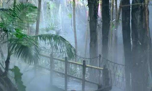 深圳青青世界怎么样?好玩么?