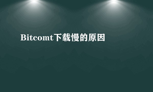 Bitcomt下载慢的原因
