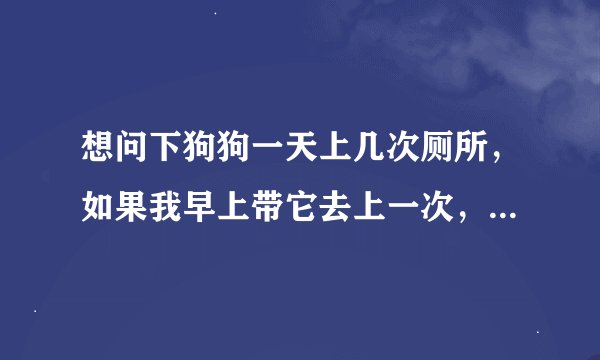 想问下狗狗一天上几次厕所，如果我早上带它去上一次，晚上带它在去一次可以不？ PS:去屋子外面.
