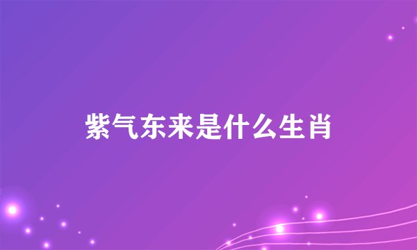 紫气东来是什么生肖