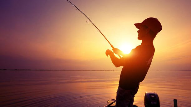 钓鱼技巧大全有哪些？