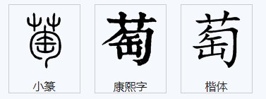 葡萄的萄字可以 组什么词