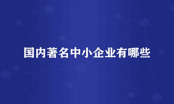 国内著名中小企业有哪些