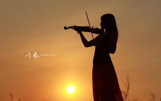 卡农是代表什么意思？