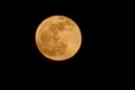 多地网友晒巨大圆月，专家做出了怎样的分析？