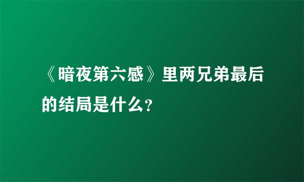 《暗夜第六感》里两兄弟最后的结局是什么？