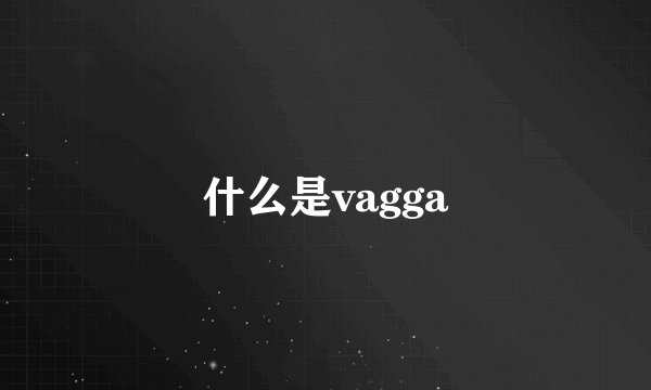 什么是vagga