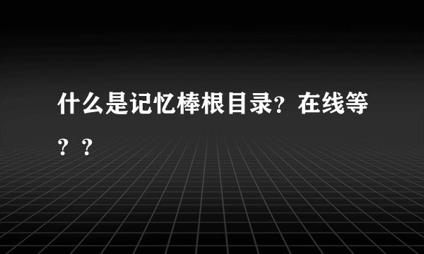 什么是记忆棒根目录？在线等？？