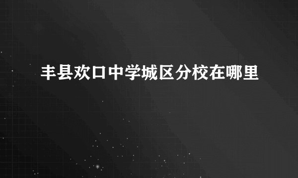 丰县欢口中学城区分校在哪里
