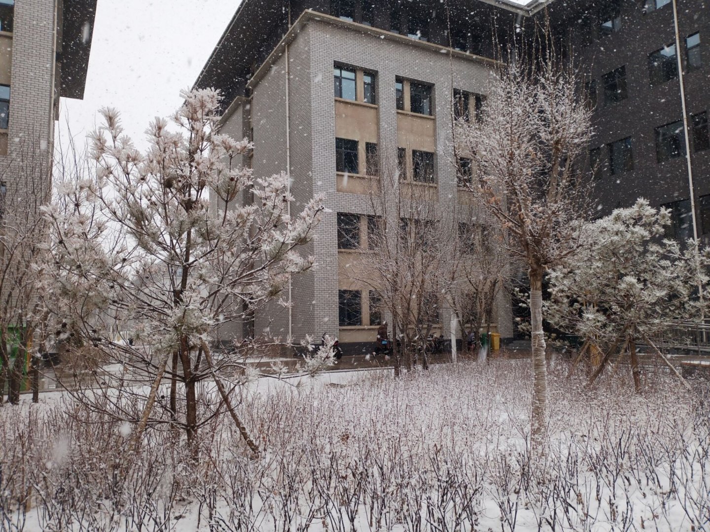 河套学院怎么样