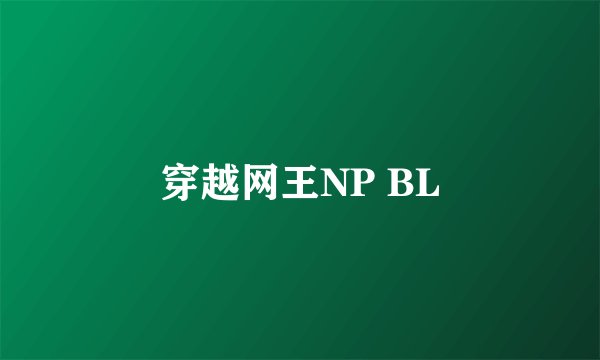 穿越网王NP BL