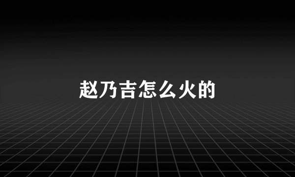 赵乃吉怎么火的