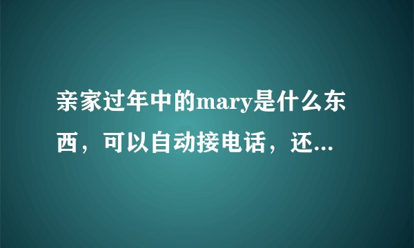 亲家过年中的mary是什么东西，可以自动接电话，还能打电话，可以跟人对话？