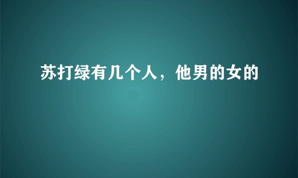 苏打绿有几个人，他男的女的