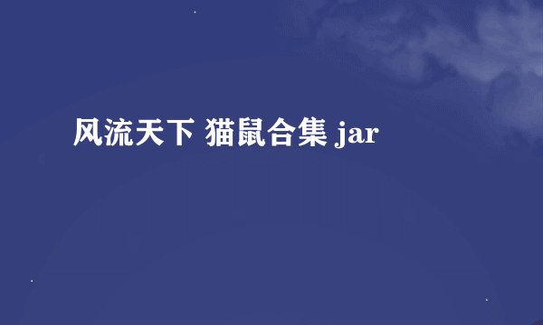 风流天下 猫鼠合集 jar