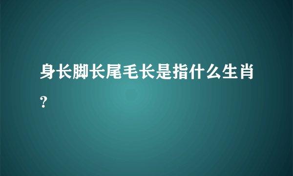 身长脚长尾毛长是指什么生肖？